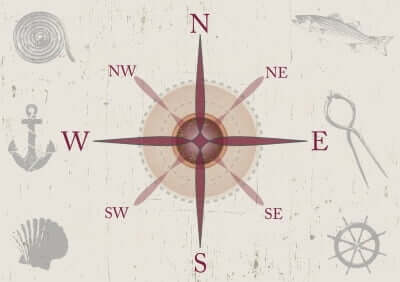 O que é e quais são os tipos de pesquisa de mercado?