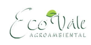 Consultoria de sucesso com a eco vale